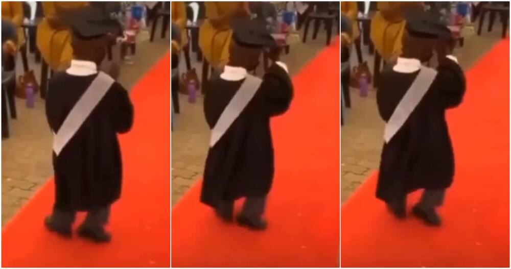 You haven't even started - Social media reacts as little boy celebrates graduation with amazing dance steps on red carpet