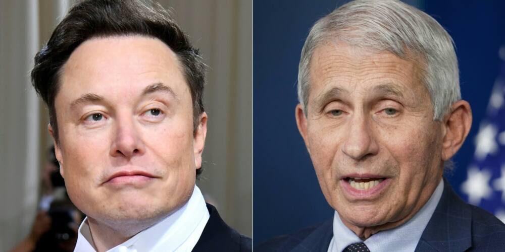Billionaire Twitter owner Elon Musk (L) and Dr. Anthony Fauci, infectious disease expert and chief medical advisor to the US president