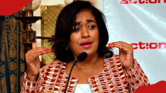 Esther Passaris Declares She’ll Vote in Support of Finance Bill 2024: “Gov’t Requires Money”