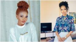 Wema Sepetu Laments Vying for MP Made Her Broke, Discloses She Spent Over KSh 18m
