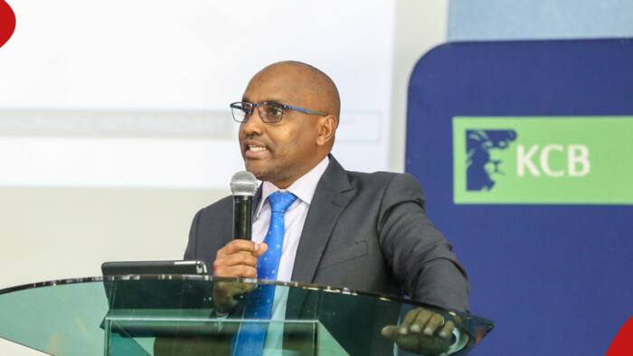 KCB Bank Dismisses Over 200 Vacancies Advertised Online as Scam: "This Is False"