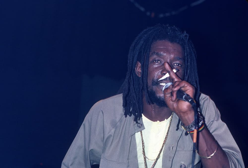 best reggae artists