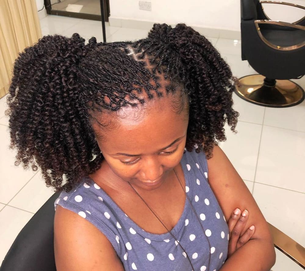 Braided Hairstyles to Try as protective styling for natural hair  #protectivestyling