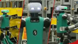 Amazon Launches New Robots with Arms and Legs that Move Like Humans to Free Employees