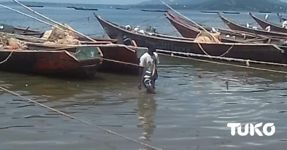 A fisherman in Lake Victoria Waters.Photo: TUKO.co.ke / Dennis Avokoywa.