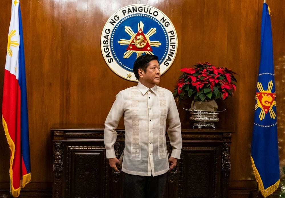 Philippines President Ferdinand Marcos Jr would chair the proposed sovereign wealth fund