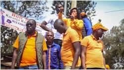 Nairobi: Robert Alai, Edwin Sifuna Fight During Azimio Rally