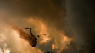 New wildfire outbreaks feared as blazes rage in France
