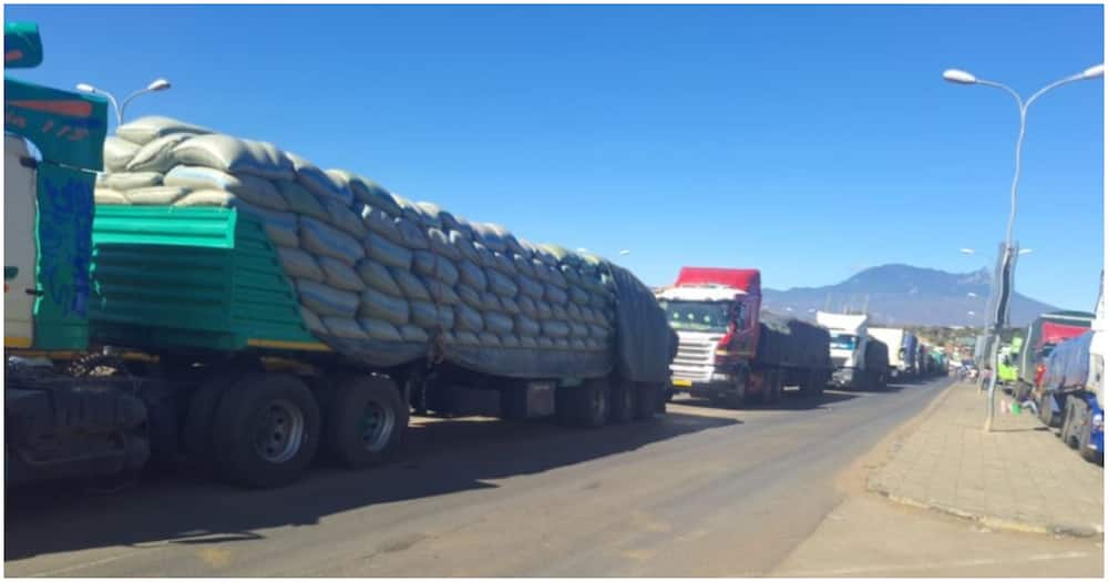 Maize trucks in Namanga