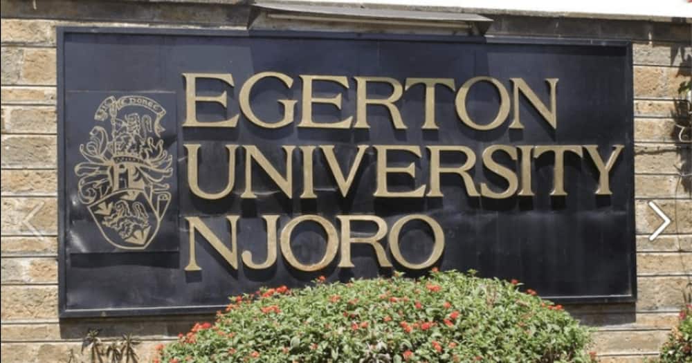 Protests erupt at Egerton University as lecturers push for vice chancellor's sacking
