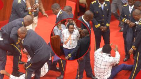 Drama in Nairobi County Assembly as MCAs Battle Speaker's Failure To Announce UDA Leadership Changes