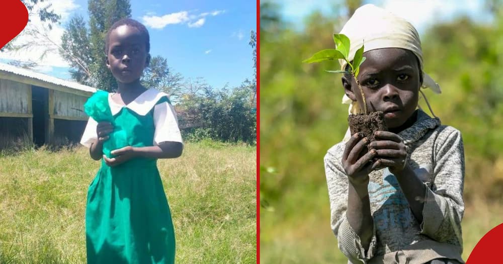 Tabatha Chelotish reports to her current school and the next frame shows where she planted the tree.