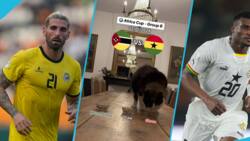 2023 AFCON: Cat Predicts Win For Ghana Against Mozambique, Fails