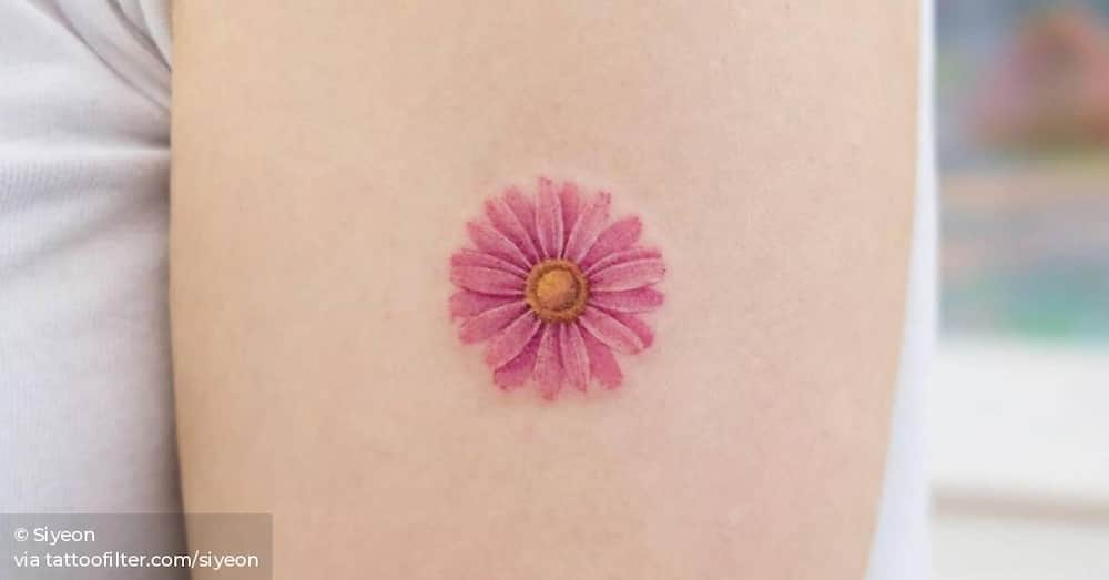 Daisy tattoo designs