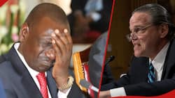 Former US Special Envoy Scoffs at William Ruto's Haiti Deal: "More of a Cash Grab"