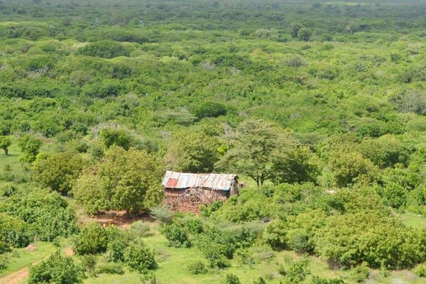 Wanajeshi wa KDF wawaua al-Shabaab 12 katika msitu wa Boni