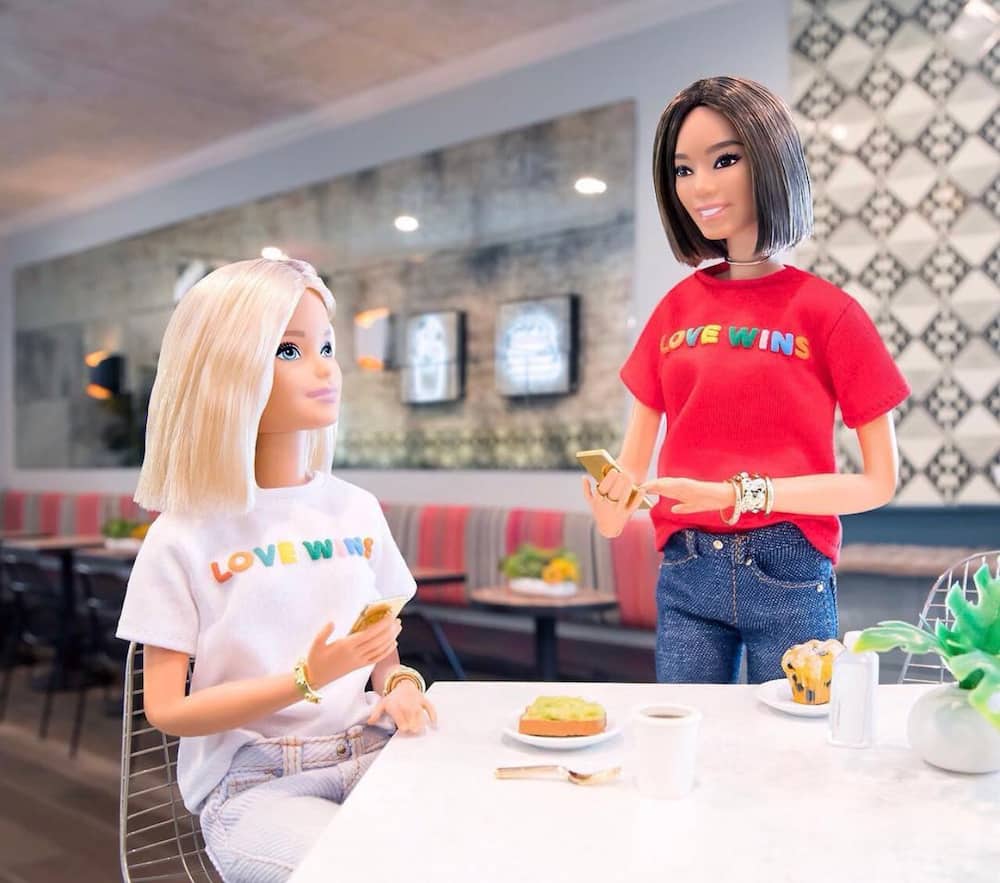 Social media buzzing as netizens believe Barbie doll is a lesbian