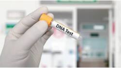 Explainer: Types, Costs of DNA Tests and Where They're Conducted in Kenya