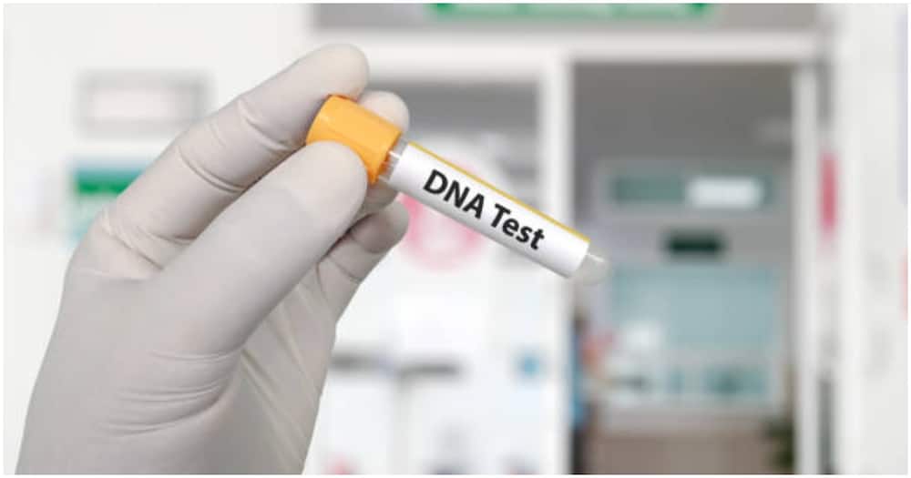 Materials that are used in DNA testing can either be cheek swabs, sample blood, saliva, hair, or nail. Photo: WHO.