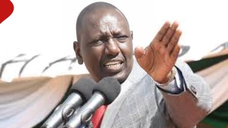 William Ruto Tells Leaders Supporting Doctor's Strike To Pay Them Instead