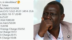 Kenyans Ask William Ruto to Intervene on High Token Prices: "We're Being Robbed"