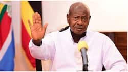 Museveni Atahadharisha Watu Dhidi ya Kuponzeka na 'Love at First Sight'