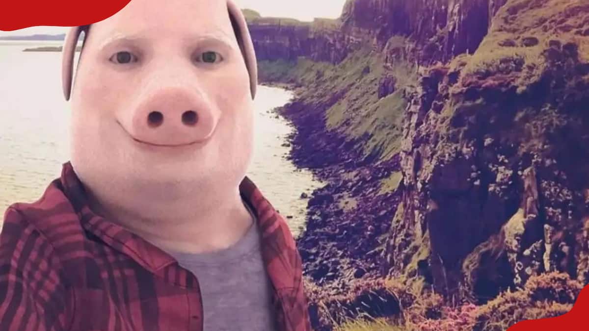 John Pork Fake Video Call – Apps no Google Play