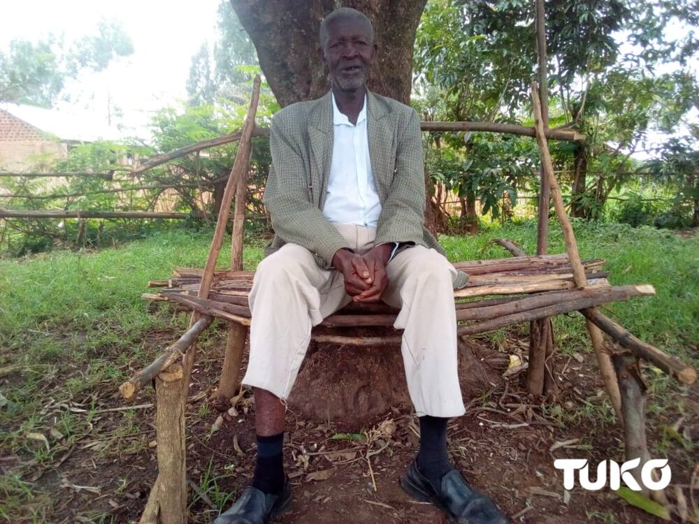 Mugomati: Indigenous multipurpose tree curing many diseases facing extinction in Maragoli land