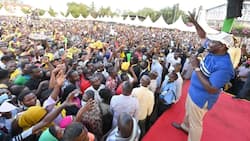 UDA Writes to Uhuru Kenyatta Demanding Protection in Political Rallies