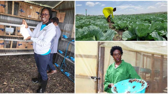 Rosemary Odinga: 7 Photos of Raila's Eldest Daughter Working on Her Farm