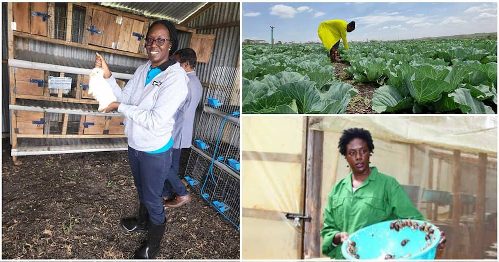 Rosemary Odinga on her farm.