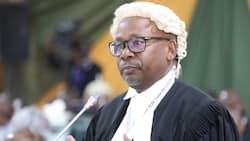Githu Muigai, Abdikadir Hussein Mohamed Among IEBC Lawyers to Bag Over KSh 567m in 2022 Presidential Petition Legal Pay