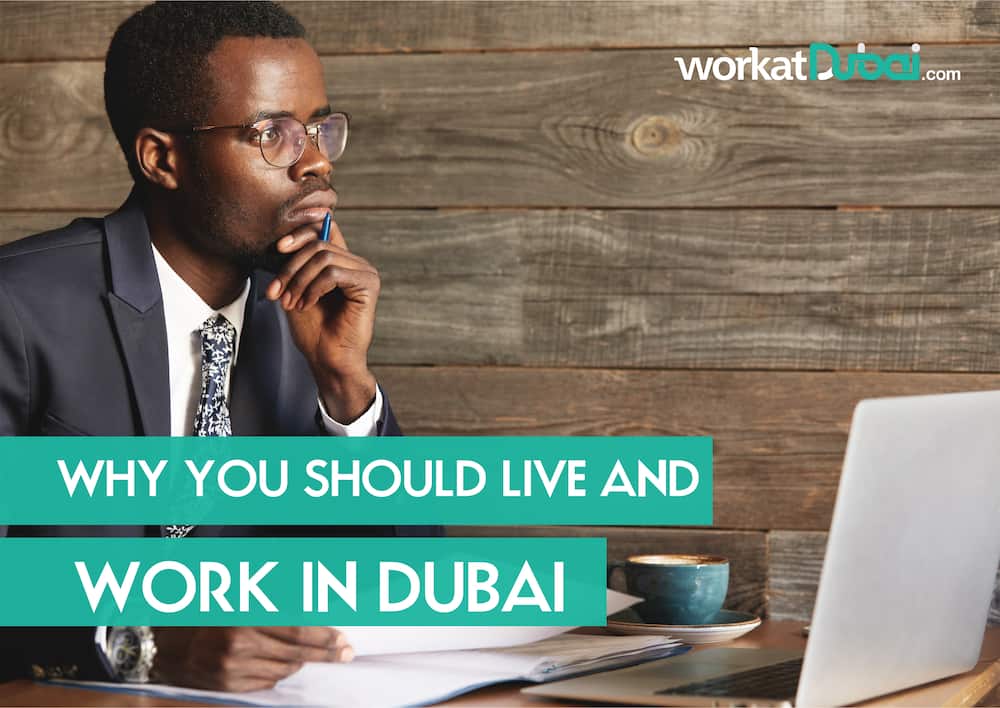 Why you should live and work in Dubai