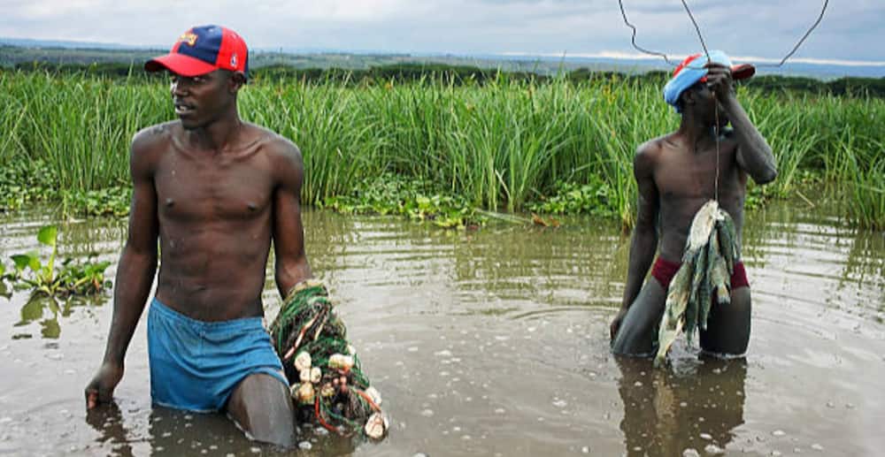 Fishermen in Lake Naivasha. Photo: Getty Images.