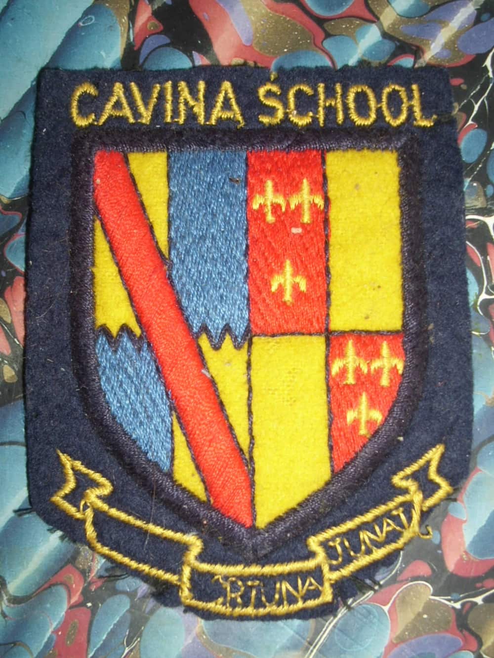 Cavina School