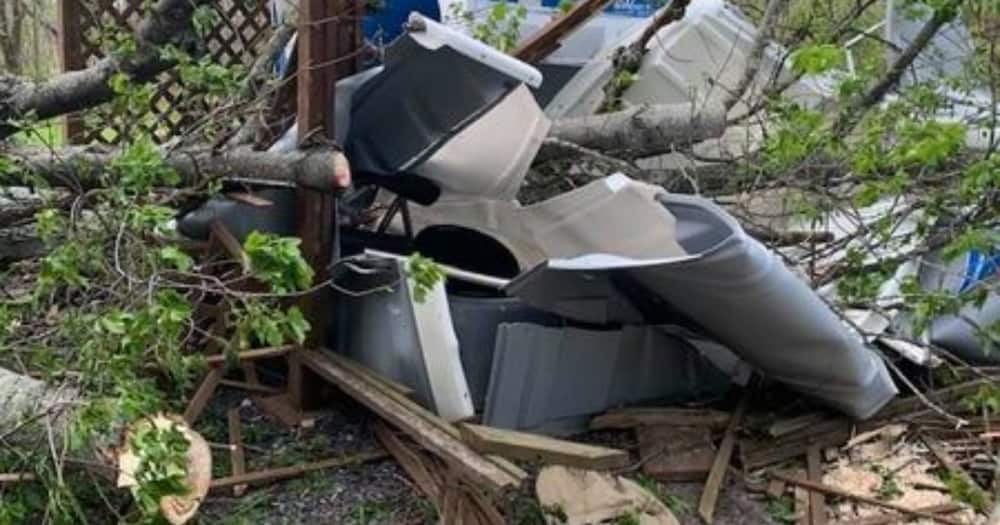 Man Narrowly Escapes Death as Huge Tree Crashes Through Portable Toilet He Was Inside
