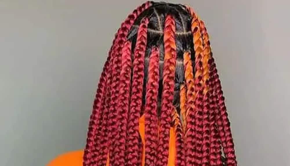 burgundy knotless braids