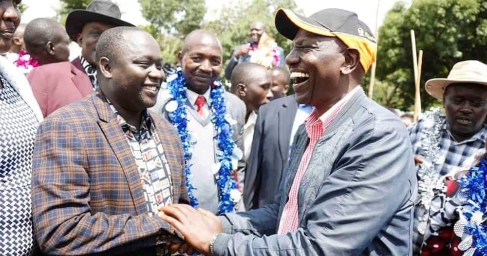 'Kijana Fupi Round, Mulmulwas' Amlilia William Ruto Kumpa Kazi Baada ya Kupoteza Uchaguzi