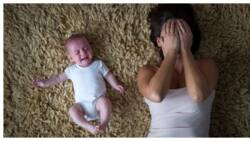 Postpartum Depression: Little Known Condition that Makes New Mothers Dislike Infants