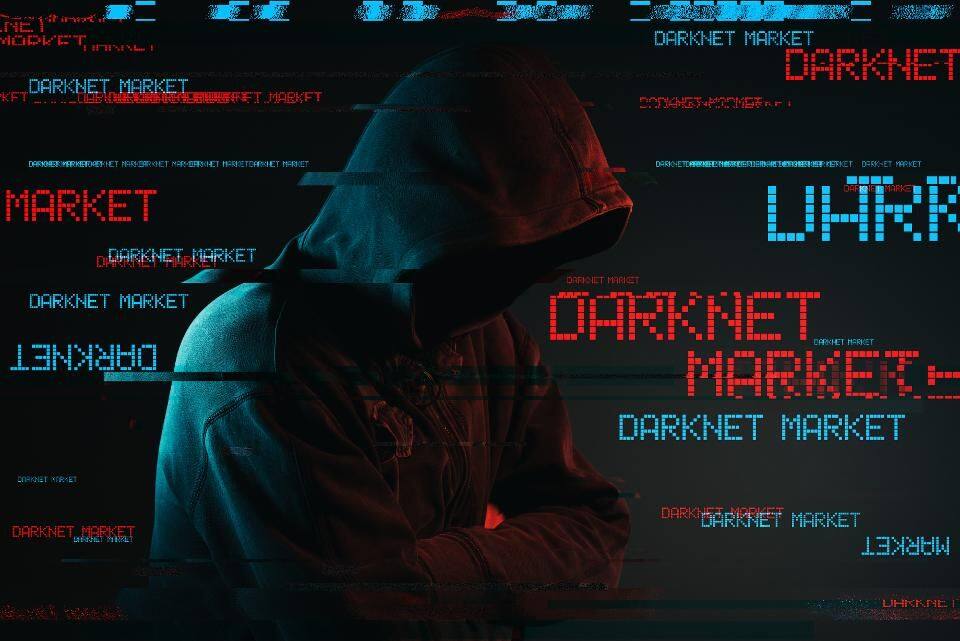 What to do if your email is on the dark web