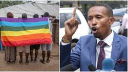 Moha Jicho Pevu Moves Motion to Ban Discussion, Publication of LGBTQ Information in Kenya