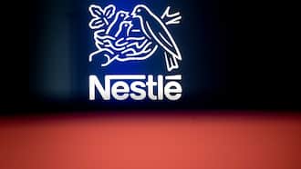 Nestle sales slump on weak North America demand for frozen food