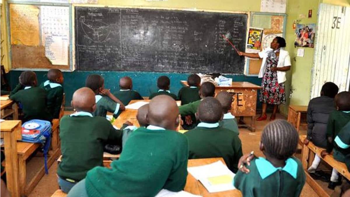 roles of education in kenya