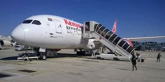 Ethiopian Airlines bags deal to fly cargo across Africa as Kenya Airways cries foul
