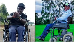 Kiambu Man Who Fell From Tree, Broke Spine Now Confined to Wheelchair: "Made Me Depressed"