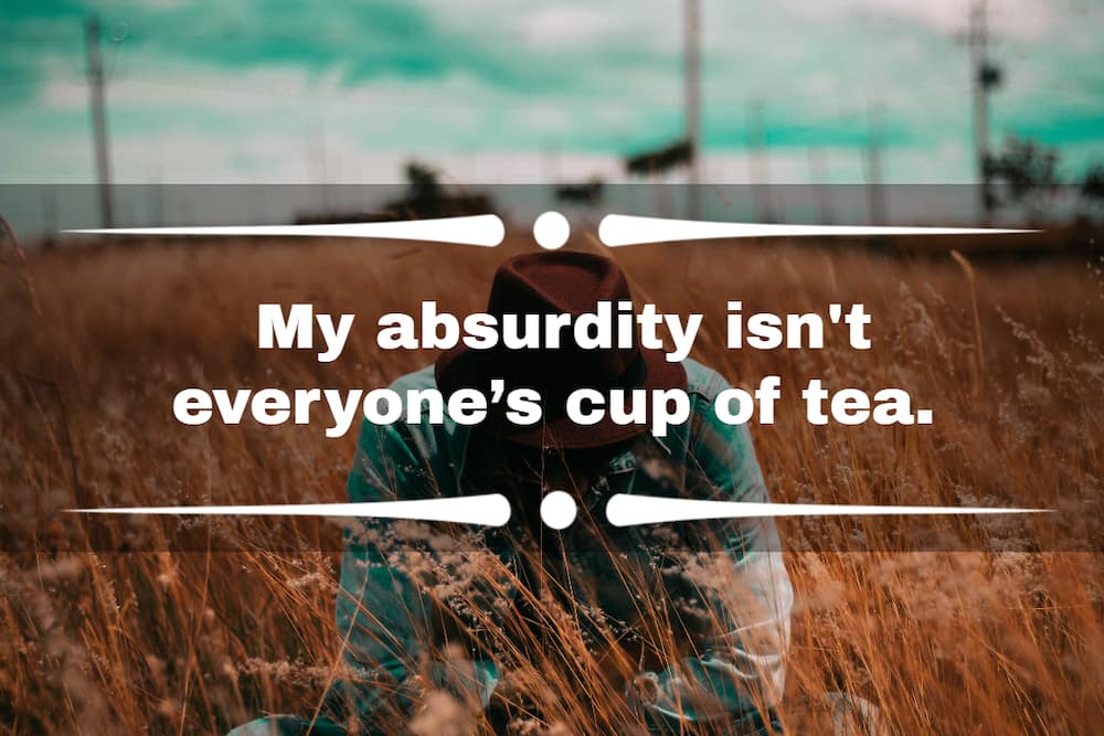 50+ funny single quotes for guys to share on Instagram or Facebook - 50+ funny single quotes for guys to share on Instagram or Facebook -