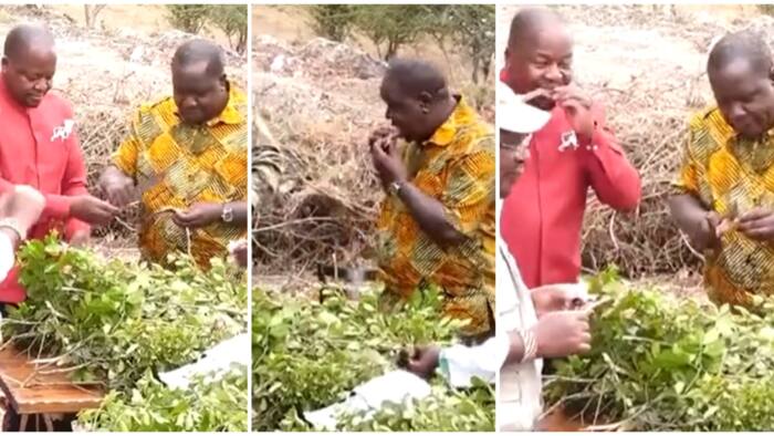 Hisia Mseto baada ya Video ya Mawaziri Matiang'i, Kagwe na Wengine Wakirarua Nyama Choma Msituni Yaibuka