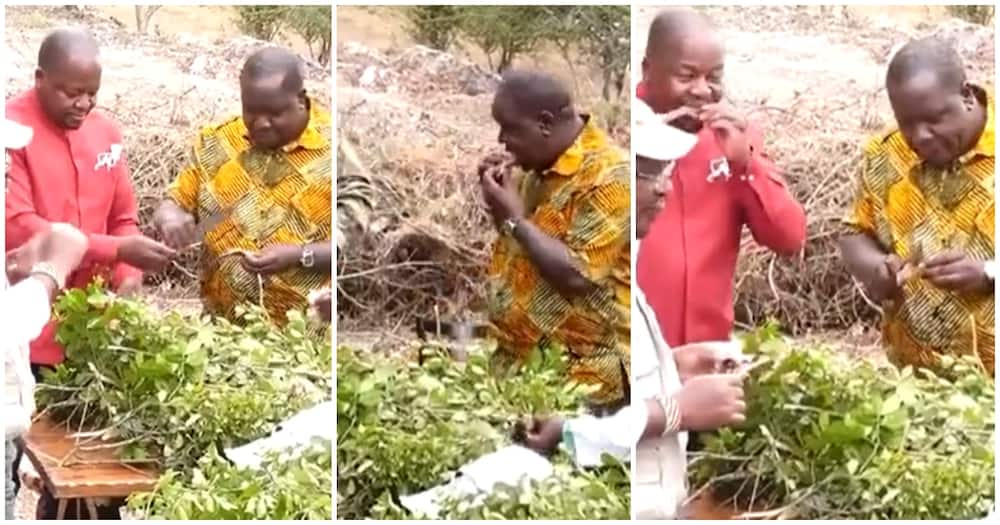 Video of Cabinet Secretaries Matiang'i, Kagwe and Other Leaders Enjoying Nyama Choma in Bush Re-emerges