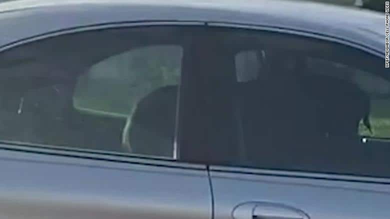 Dog puts car into reverse, drives in circles for almost 1 hour in US