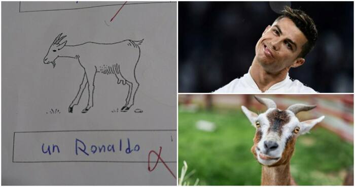 Student answers Cristiano Ronaldo is the Goat in French exam and